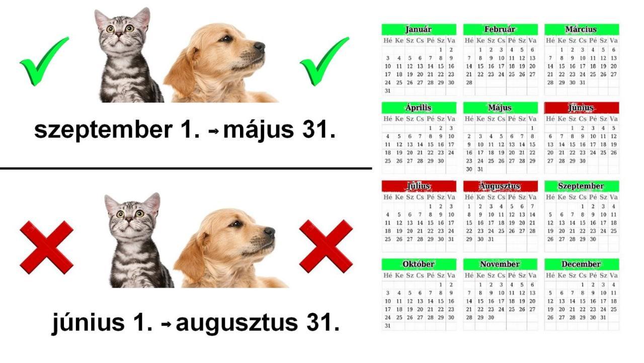Vadaszles Vendeghaz Bukkszentmarton エクステリア 写真
