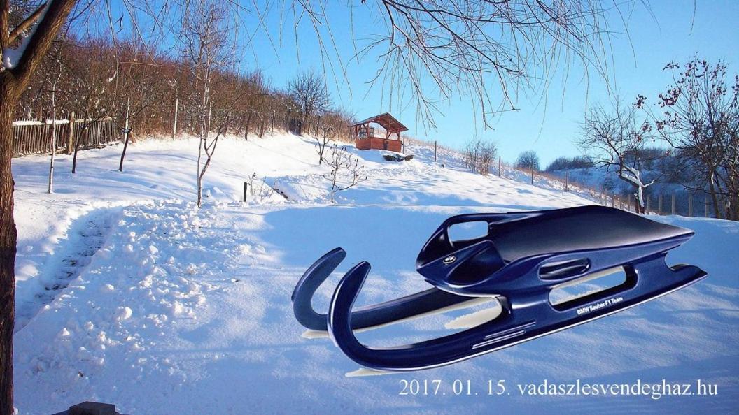Vadaszles Vendeghaz Bukkszentmarton エクステリア 写真